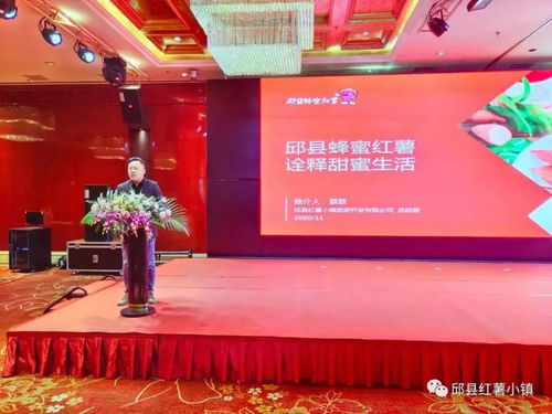 邱縣紅薯小鎮閃耀第十八屆中國國際農產品交易會，品牌農業再譜新篇